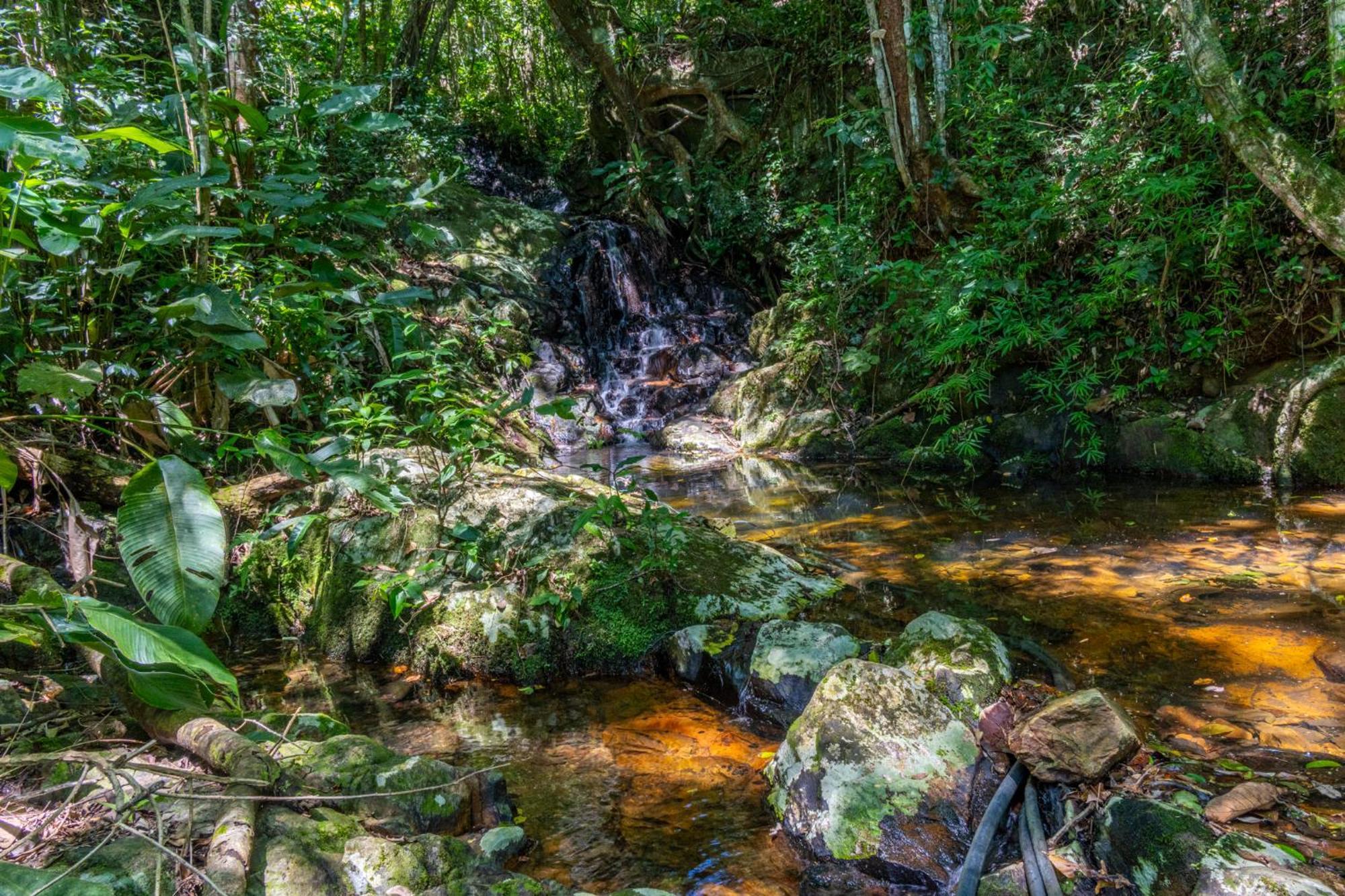 Mansao Voar Florianópolis
